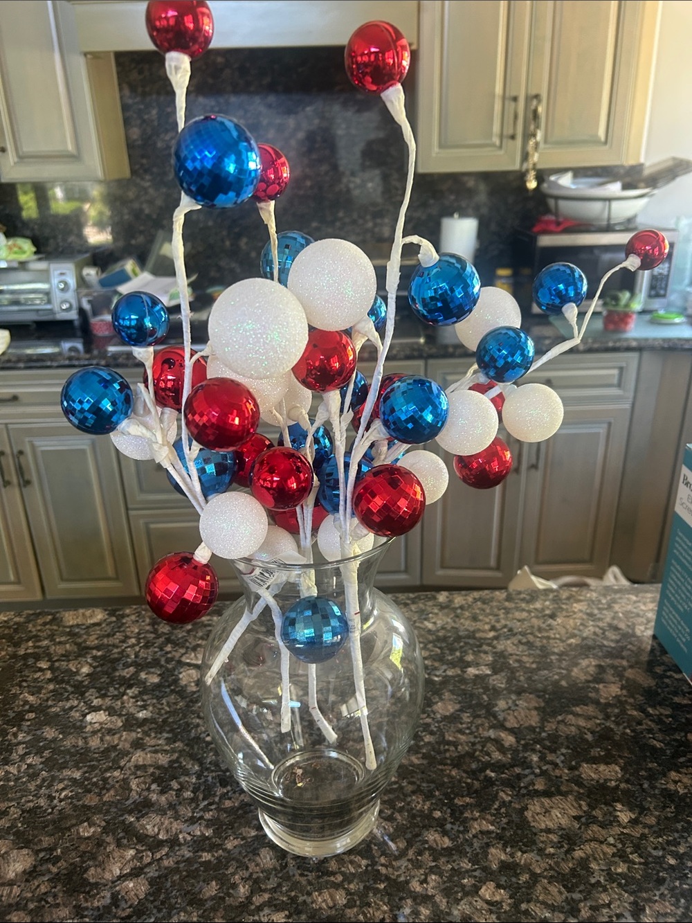 CELEBRATE IT RED WHITE & BLUE PICKS SET OF 4 NWT